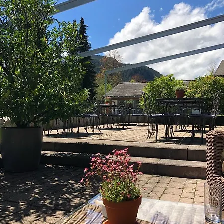 Hotel Alpine Gstaad