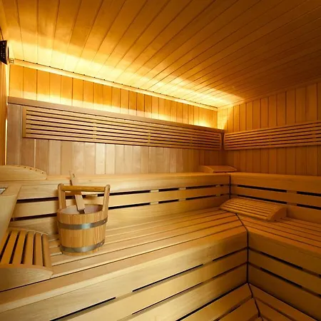 Hotel Alpine Gstaad